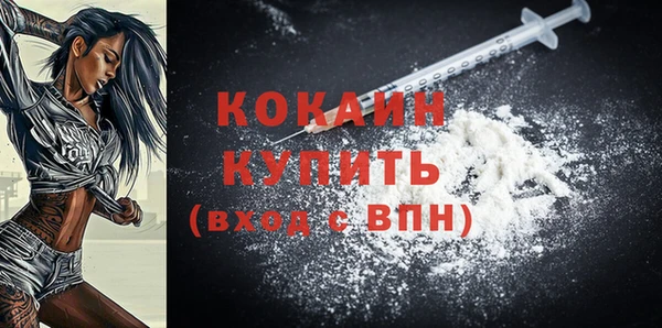 прущие грибы Нея