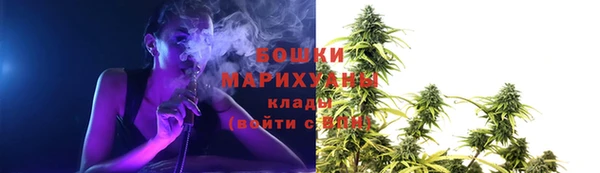 молекула духа Корсаков