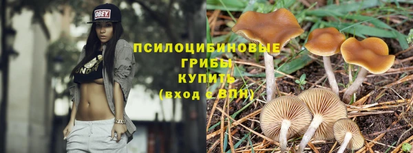 прущие грибы Нея