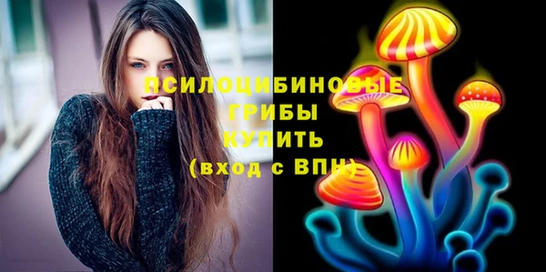 прущие грибы Нея