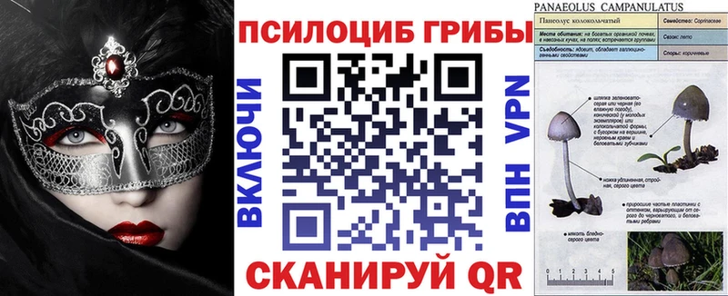 Галлюциногенные грибы Cubensis Красновишерск